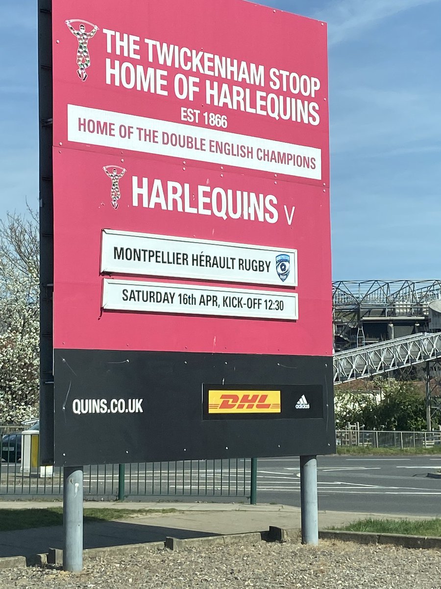 QuinssaRugby's tweet photo. 24 Hours to KO - let’s get ready to rumble … #COYQ 🟫⬜️🟥🟦 https://t.co/QN2q8IBFvm