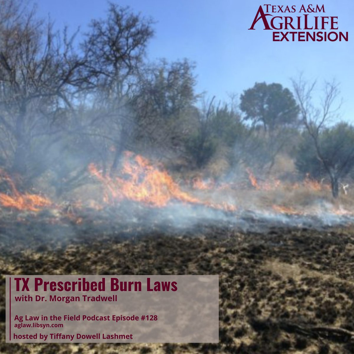 When I got a request for a podcast about prescribed burning laws, there was no one else to have across the table than Dr. <a href="/motreadwell/">Morgan Treadwell</a>!

If you're using or even considering prescribed burning in TX, you won't want to miss this!

aglaw.libsyn.com/episode-128-dr…

#aglaw #prescribedburning