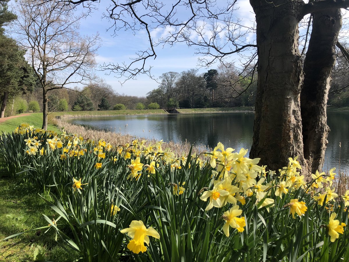 RoseStanyon's tweet photo. Arriving ahead of the crowds to get Easter set up at Nostell! How to keep hundreds of Easter Eggs from melting under the Wakefield sunshine = Easter at National Trust 🥚 ☀️ 🍳 #Easter  #blossomwatch https://t.co/YSrO0LYvAX