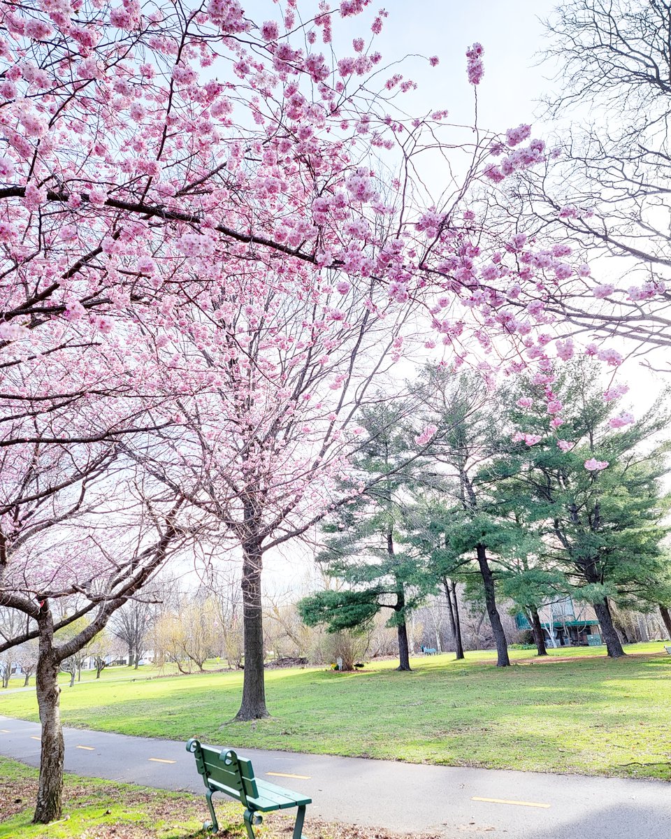 OnlyInBOS's tweet photo. Happy Friday.

❤ https://t.co/Dk1mq1uC9S
