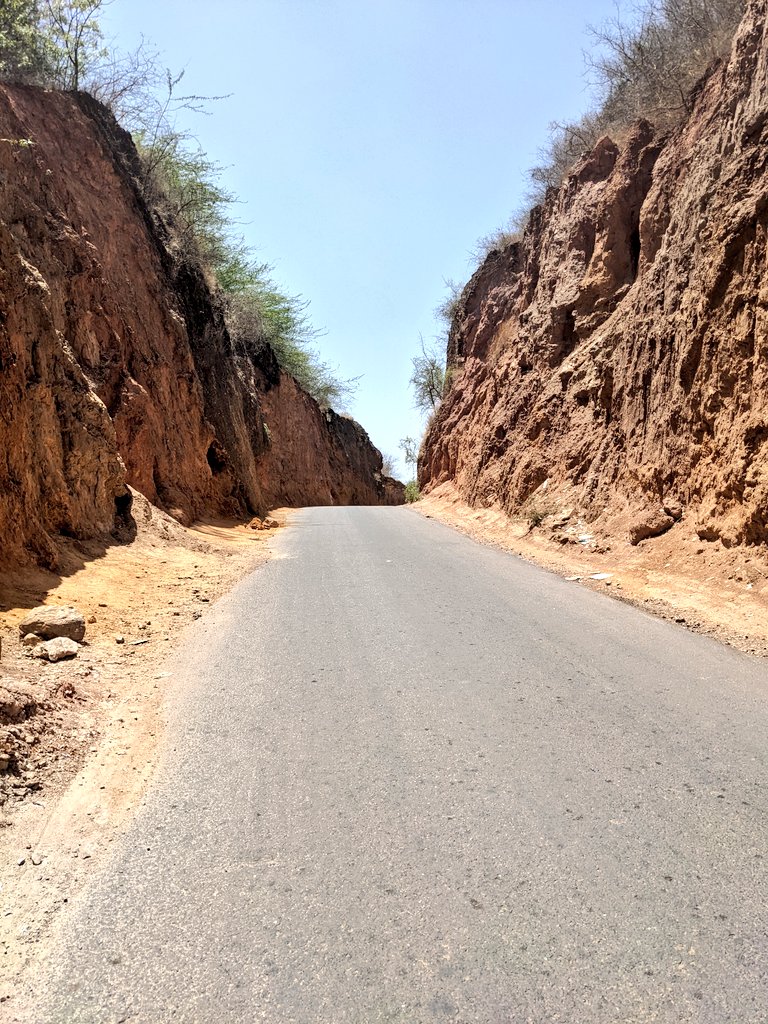 DChoudharani's tweet photo. शुभ संध्या #haldighhati #darra #khamnor #arawalihills #mewar #maharanapratap https://t.co/HQjxZWjKey
