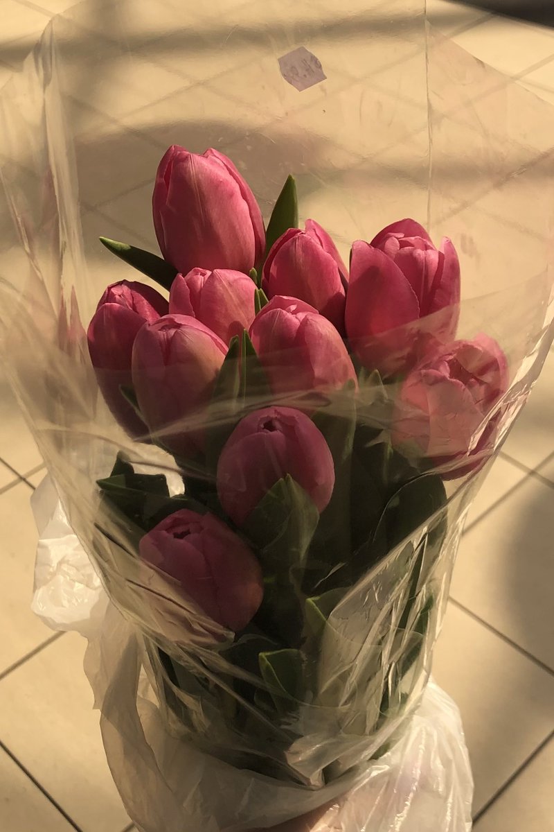 earlybutlazy's tweet photo. 🌷 https://t.co/MzbonHaoO0