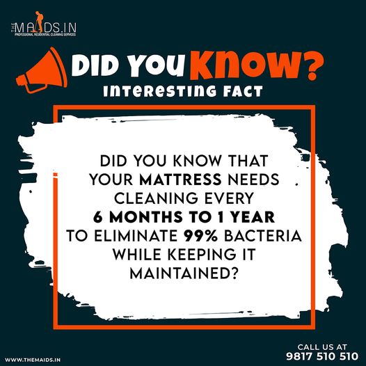 manmachinegroup's tweet image. So what are you waiting for call Themaidsin for  mattress cleaning 

To book our services -9817-510-510
Or visit- themaids.in 

#cleaning #deepcleaning #cleaningservice #officecleaning #carpetcleaning #commercialcleaning #housecleaning #residentialcleaning