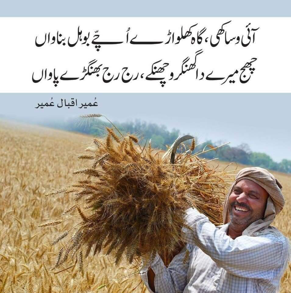 AlinaRana's tweet photo. #Visakhi wishes to all. #promisingPakistan #harvest #Farming #panjab #Punjab #culture https://t.co/MFHeFqhU5q