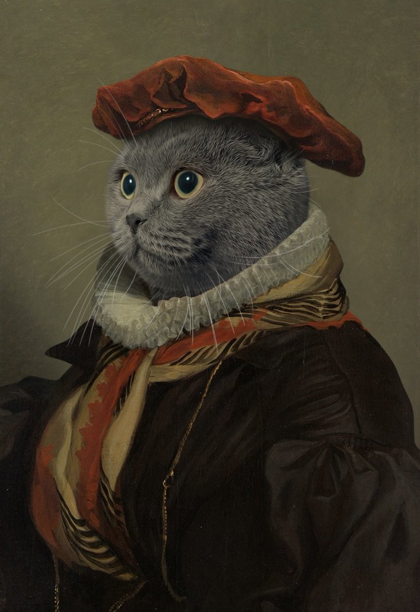 🌙 Caladrius ☀️ tweet media