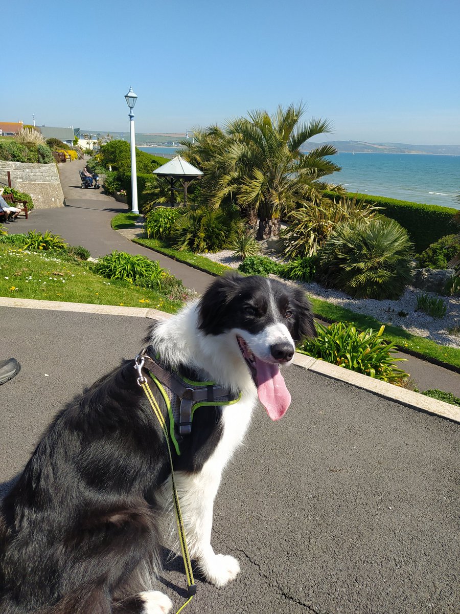 First trip of the year to Green hill Gardens in #Weymouth Feel like I'm on holiday but I'm lucky to live close enough to visit. #Dorset great place to live work and visit.