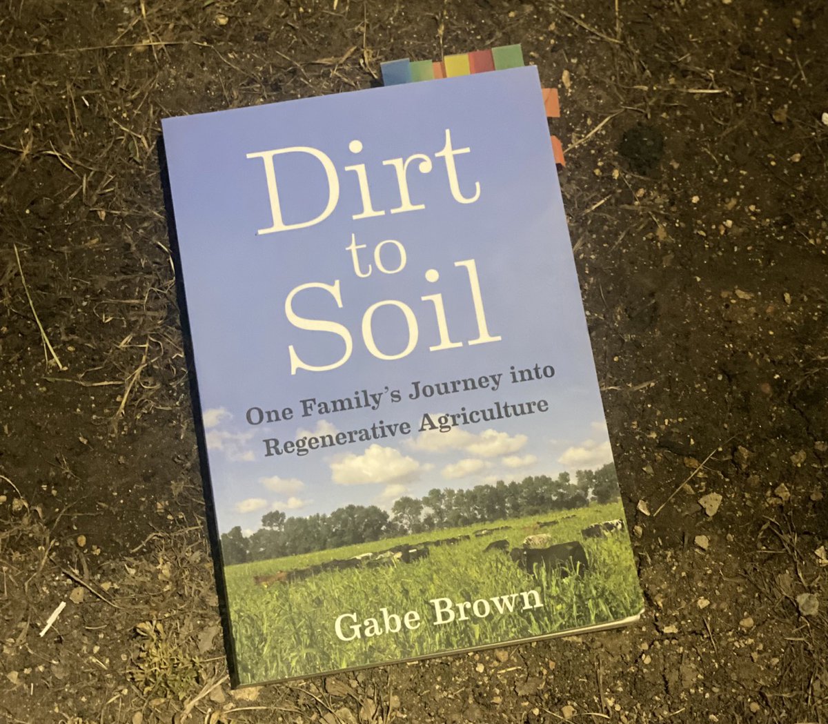 Harry Gray 🥩⚡️ tweet media