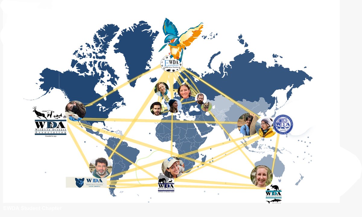 We are delighted to announce that our webinar gathered a total of 95 students from around the world! We warmly thank all of the speakers and WDA sections that participated, and remember: "Wherever you go, you will find a chapter of the WDA"! [Karin Lemberger, EWDA chair]