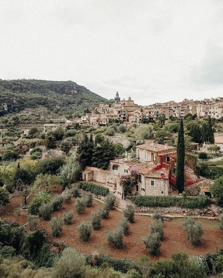 VisitValldemoss's tweet image. 🔹 “La primera condición del paisaje es su capacidad de decir casi todo sin una sola palabra” – Konrad Lorenz. ⛰️

🔹 "The first condition of landscape is its ability to say almost everything without a single word" - Konrad Lorenz. 🌳