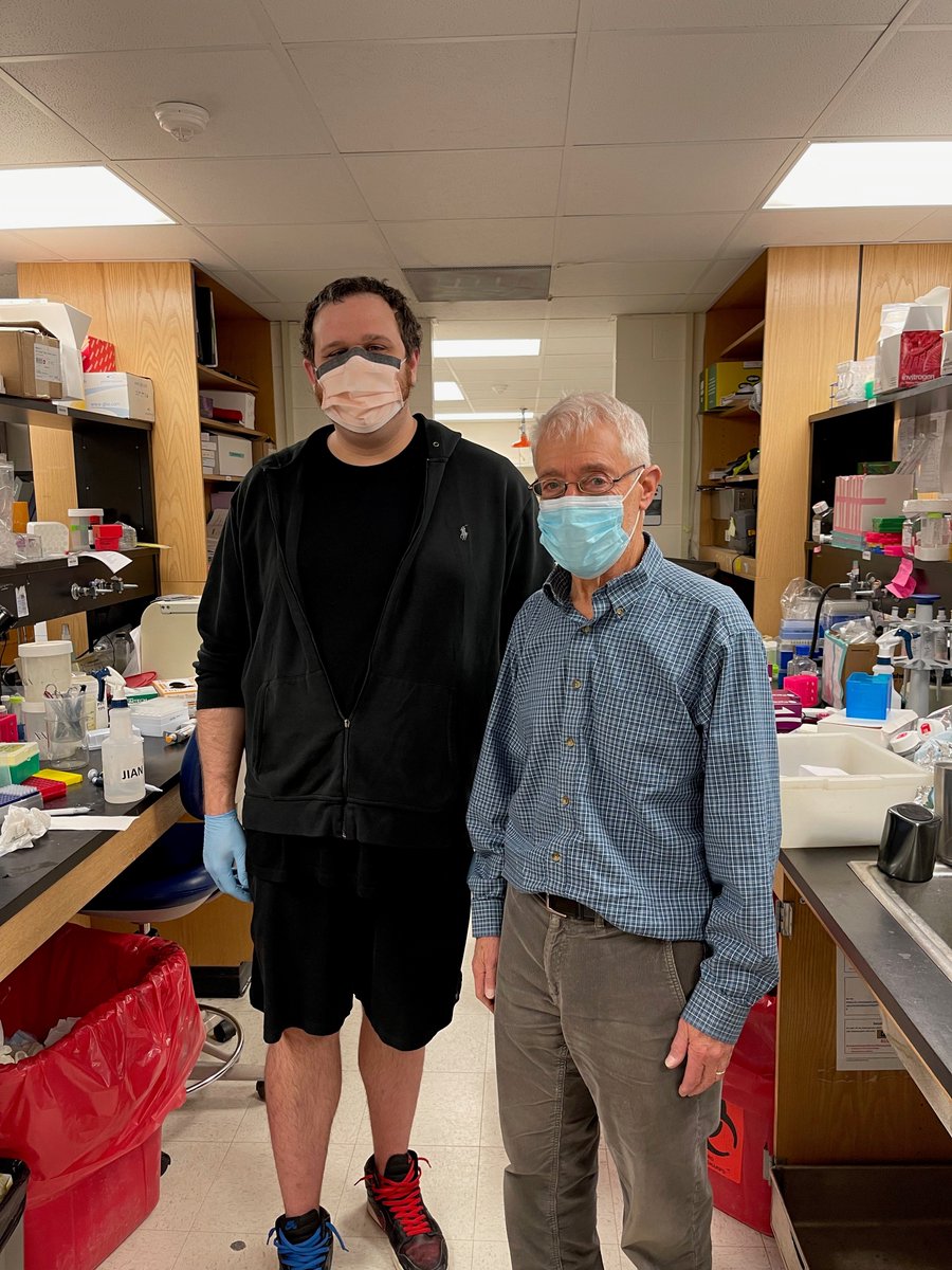 J_Immunol's tweet photo. #JI_TopRead from Stanley Perlman @uiowa | Memory #Tregs persist responding to & mitigating damage during subsequent #viralinfection #ReadTheJI #immunology #Tcellmemory #viralimmunology https://t.co/GCO9HY8TwJ https://t.co/aQ34EywwdN