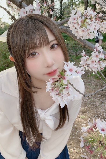 すみれおじさん