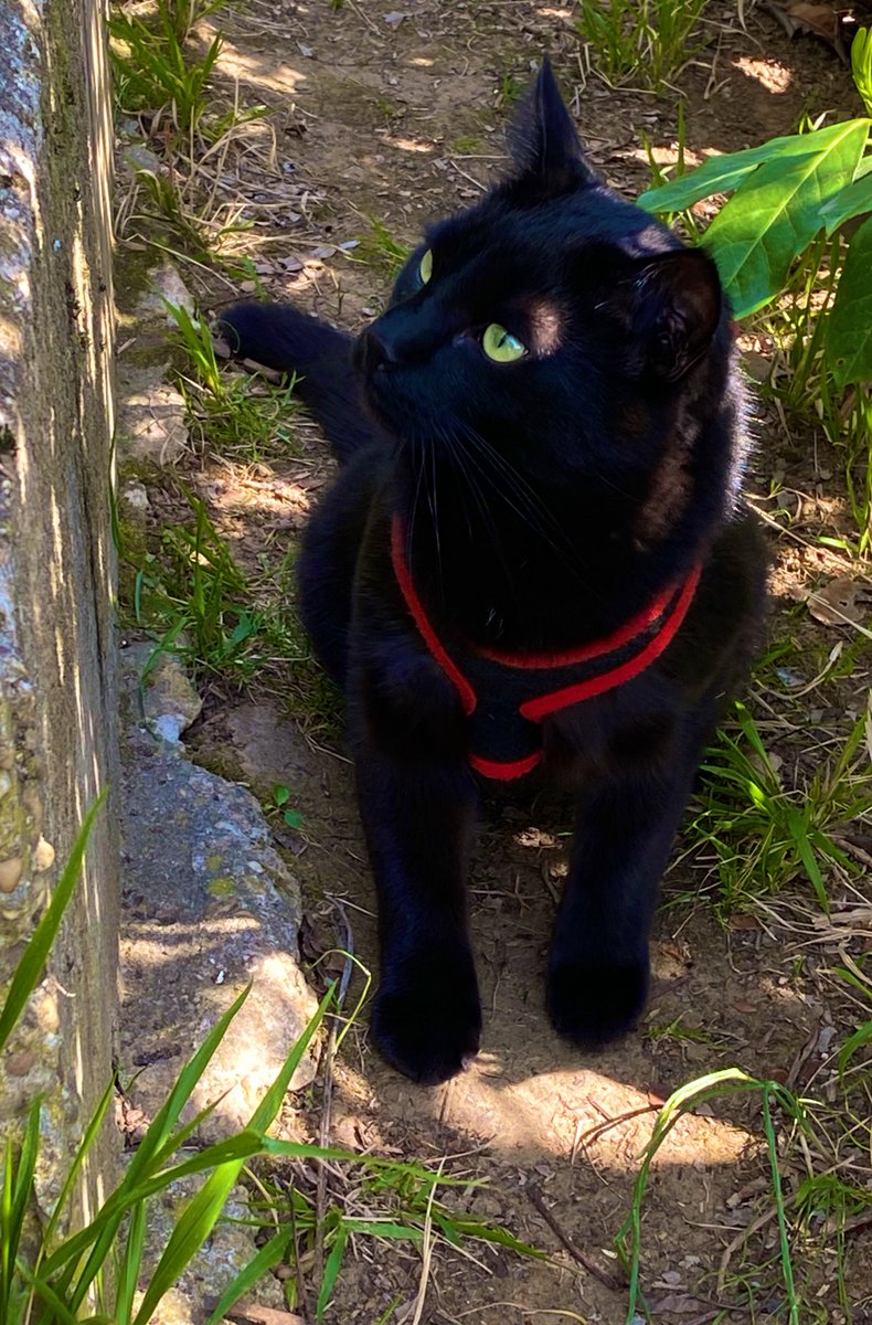 caty_rene's tweet photo. Il parait que je suis très beau dit la maine .. https://t.co/QjpNAbLJZi