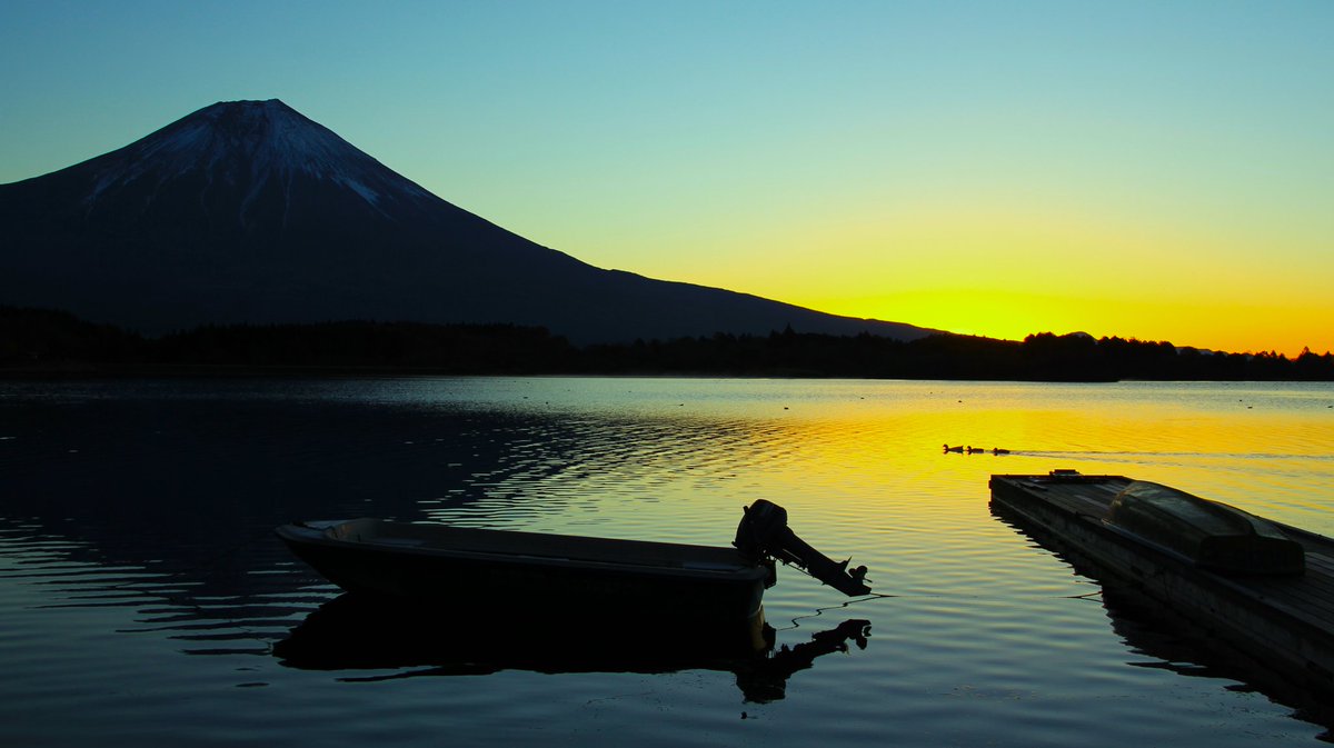 スポットライト 田貫湖の日の出3 初めて田貫湖に写真を撮りに行った時に撮った思い出の1枚です。 鳥が泳いで来てくれました😊