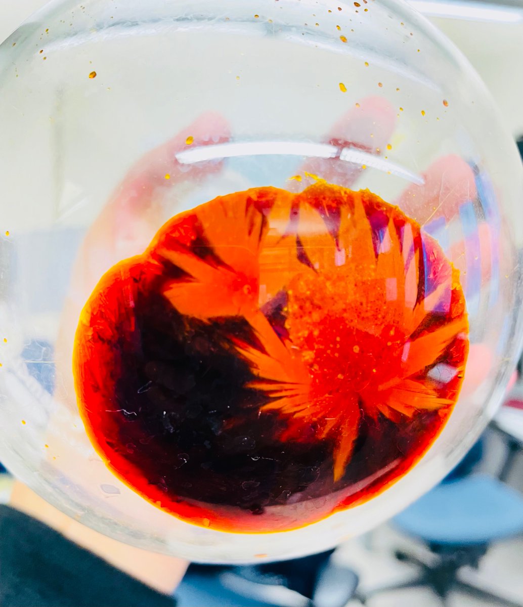 Kartika Lab tweet media