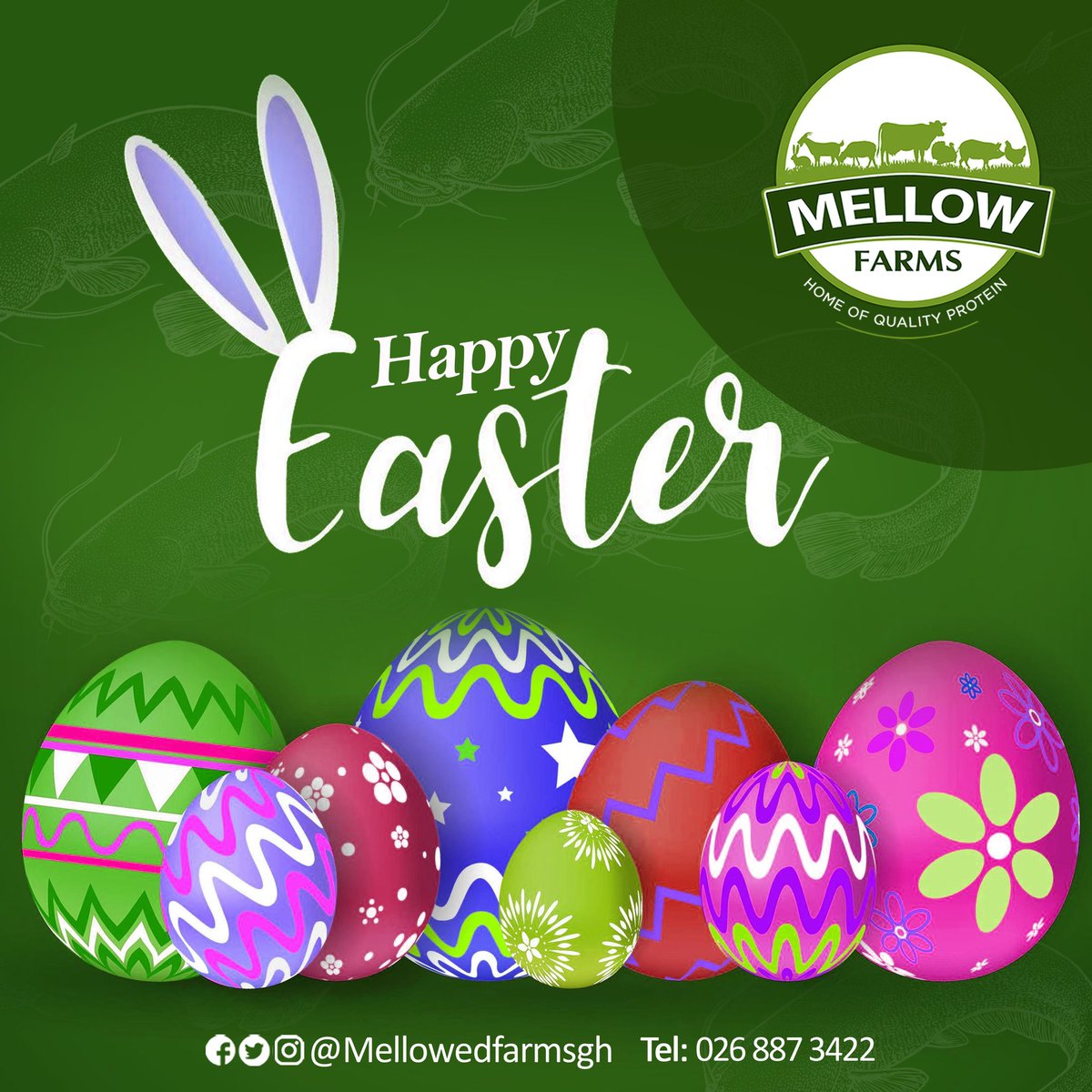 May all the good things you wish for come your way during this Easter holiday season.

Happy Easter

#MellowFarmsGH
#QualityProtein