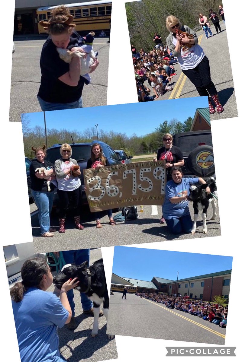 Charlotte Elementary School tweet media