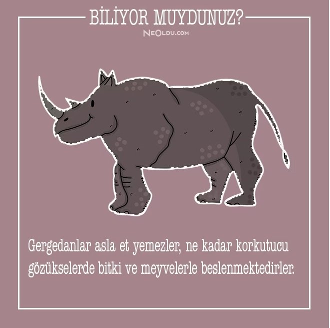 dksldkdkfkf44's tweet photo. #javangergedan #beykozsosyalsorumlulukprojesi
#neslitukenenhayvanlar https://t.co/nZyEhSnTPk