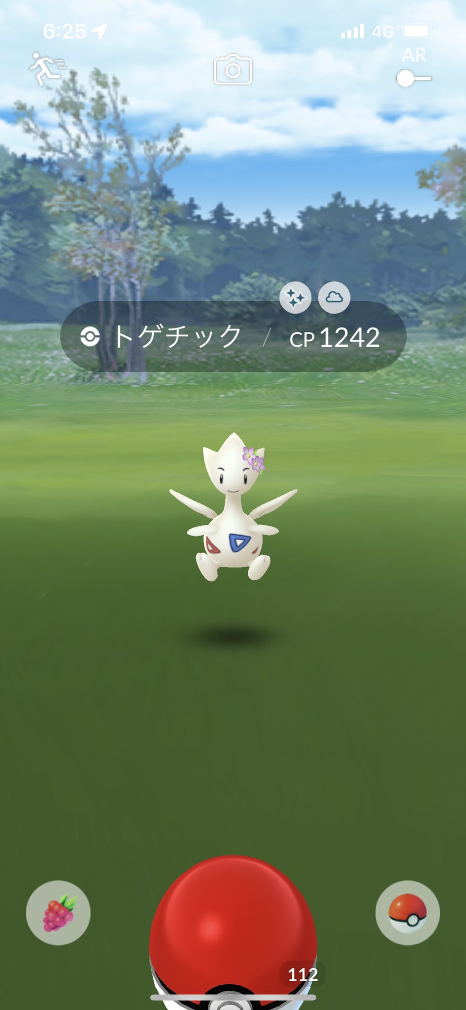 トゲチック色違い Twitter Search Twitter