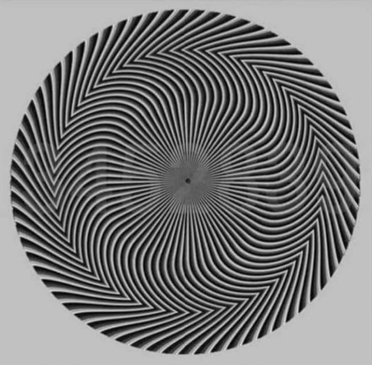 pickover's tweet photo. Reality shatter.

"After staring at the circle, most will see a set of hidden numbers — but viewers can't seem to agree on what those numbers are."   Source: https://t.co/VsL5fEWbi4 https://t.co/wVyEcLuKsy