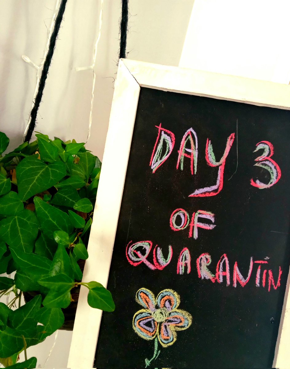 Day 3 of my spiritual retreat 😷