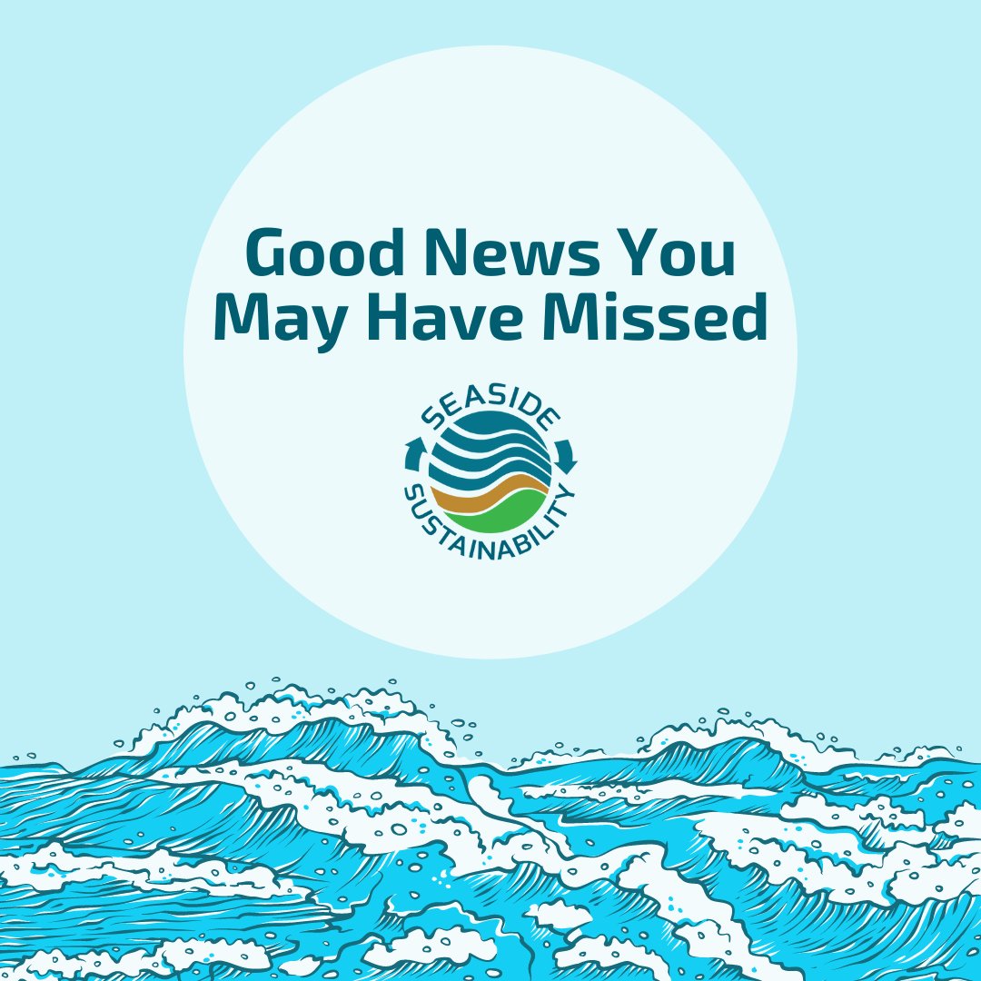 seasusinc's tweet photo. Everyday Allows For Better Choices So Let Us Celebrate The Good News From This Week! 🌎💚
#SeasideSustainability #Sustainability #Environment #SaveOurPlanet #GoodNews #Recycle #Reduce #PlasticFree #LimitWaste #Plastic #SaveThePlanet #EndangeredSpecies https://t.co/mhXSEyJY6N