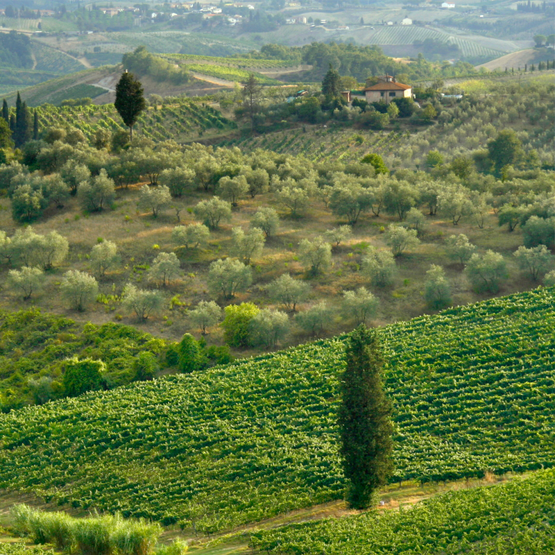 Underground Cellar tweet media