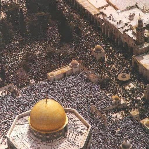 7akie's tweet photo. اللهم انا استودعناك بيت المقدس، وأكناف بيت المقدس، اللهم إنا استودعناك المسجد الأقصى، ساحاته، وأحجاره، وأشجار ، وأهله، ومرابطيه.🇵🇸
حسبنا الله ونعم الوكيل. https://t.co/XmO3z2zESL