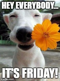 It's Friday! Woohoo...Enjoy your weekend!

#Friday #happy #smile #enjoy #familytime #pets #dogs #furryfamilymembers #dogbloggers #dogwriters #dwaa #April #Eastercoming