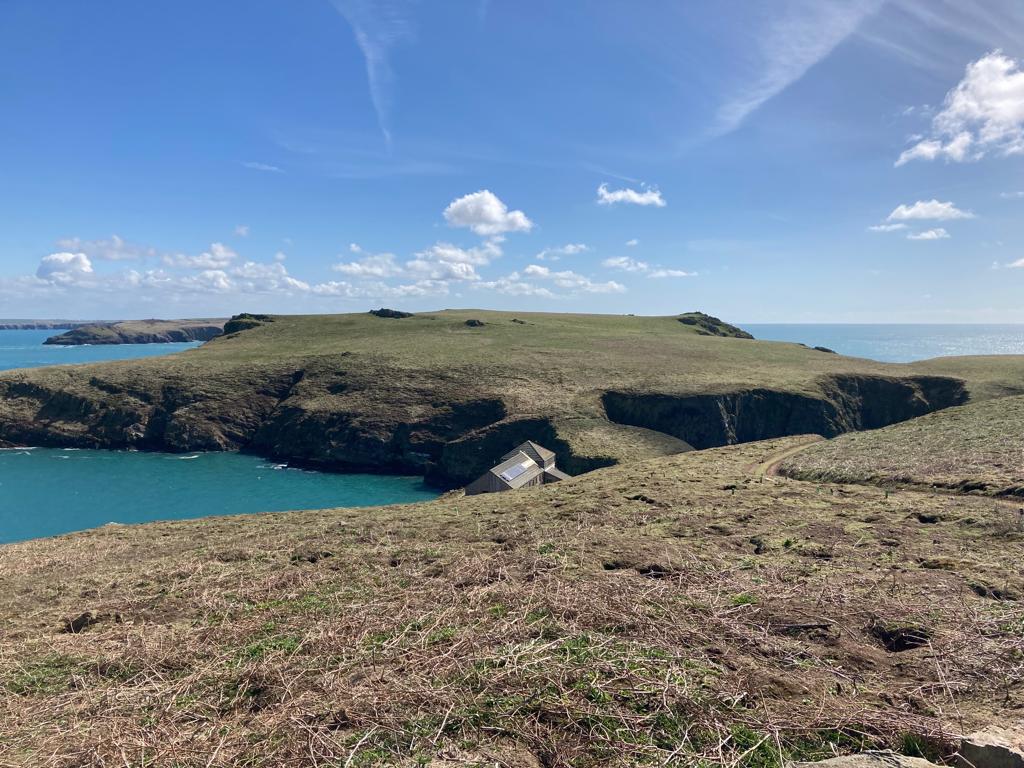 Finally took a trip to <a href="/skomer_island/">Skomer Island</a> last weekend. It was just fantastic, so many puffins!! #skomer #birding #puffins