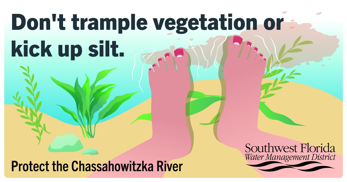 Southwest Fl Water tweet media