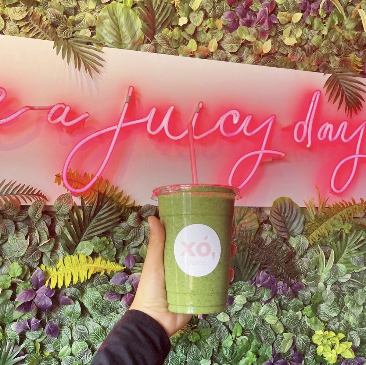 Smoothie o’clock! @ohmahvegan 🌱
Be sure to take a picture of your drink and tag us for $$$ off your next order! 💕

3407 Montrose Blvd Suite B-2, Houston, TX 77006 xojuice.com 

#drinks #drinkstagram #htxfood #htxfoodie #houstonfood #blackowned #blackownedbusiness