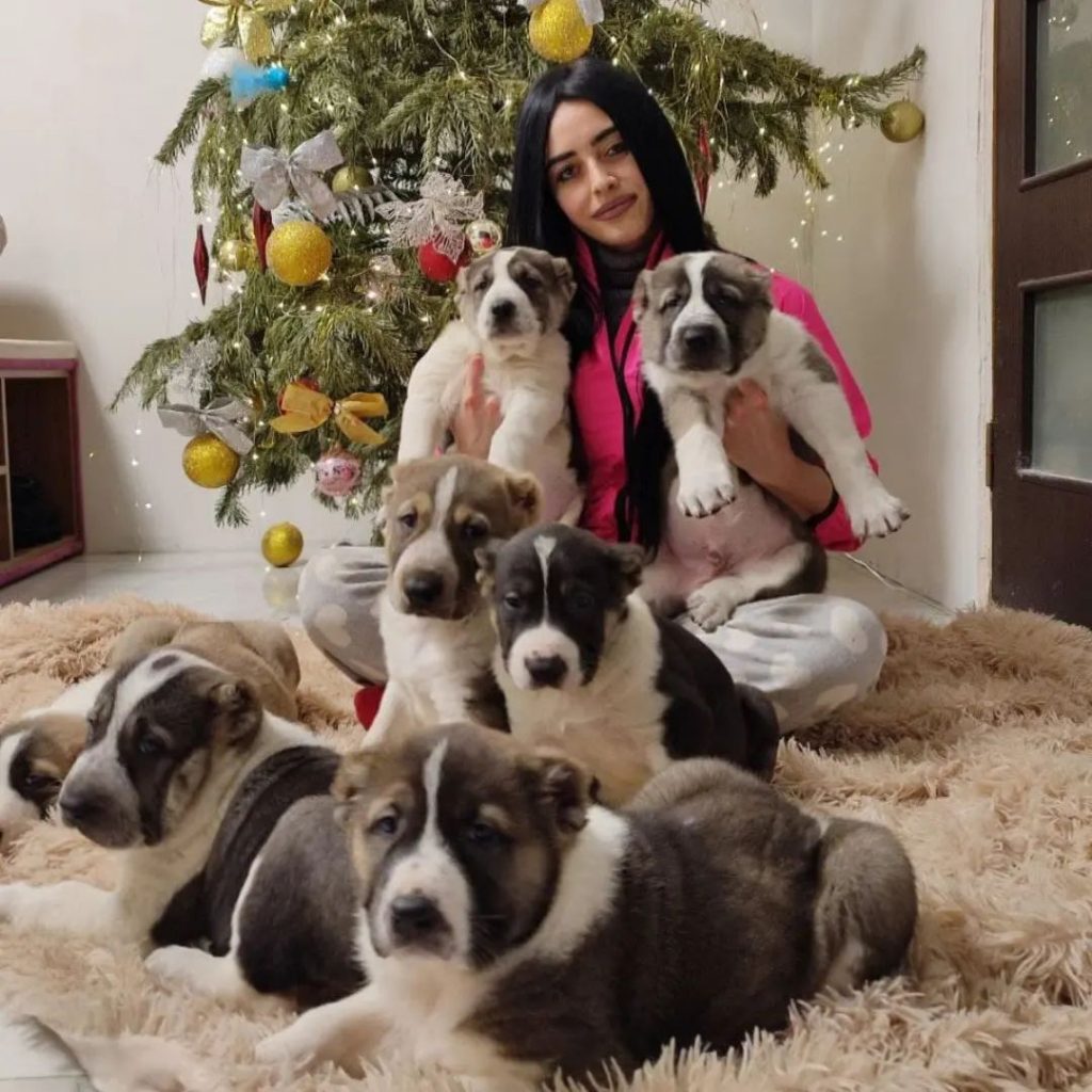 kaknravitsya's tweet image. У 29-летней девушки в первый же день войны на глазах убили мать, сама она чудом выжила, спасла жизнь русскому солдату (который пытался им помочь и в которого стреляли свои же) а теперь ухаживает за 50 собаками, которые жили в питомнике ее матери. пиздец

holod.media/2022/04/15/kar…