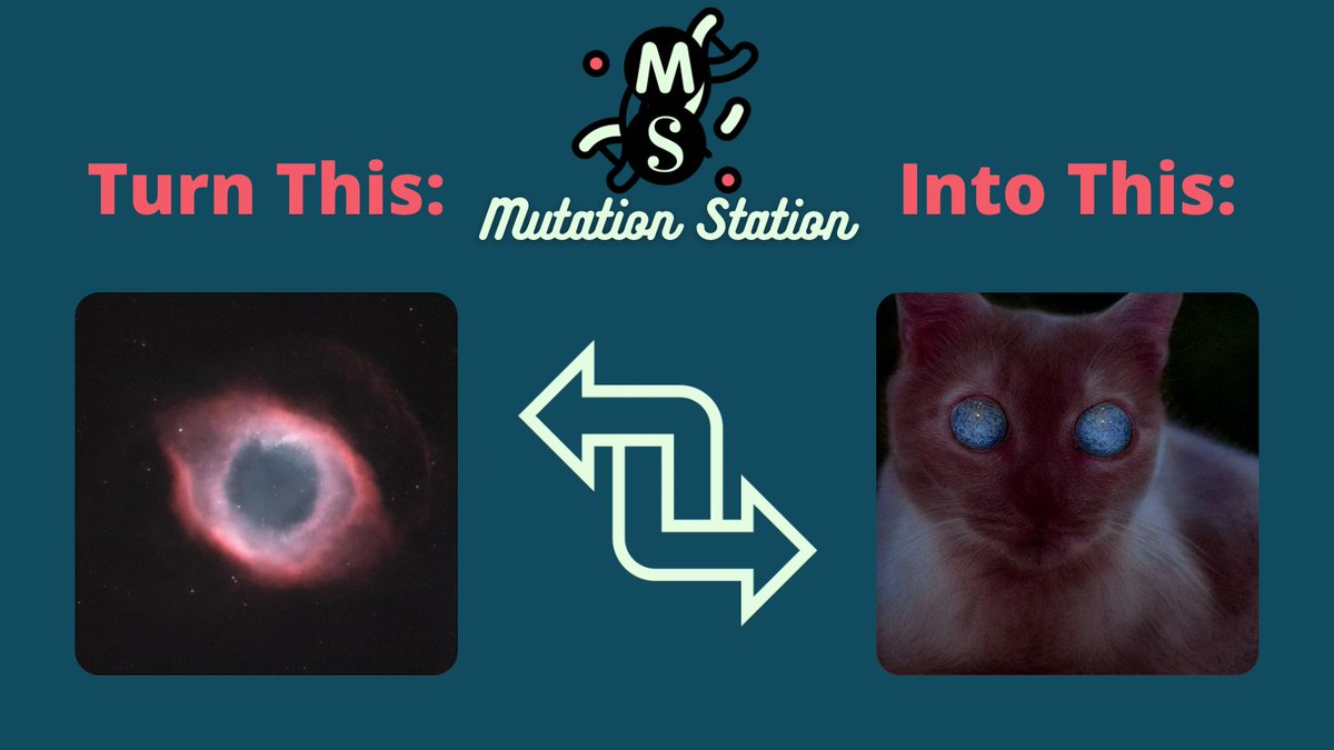 Mutation Station 🔺 tweet media