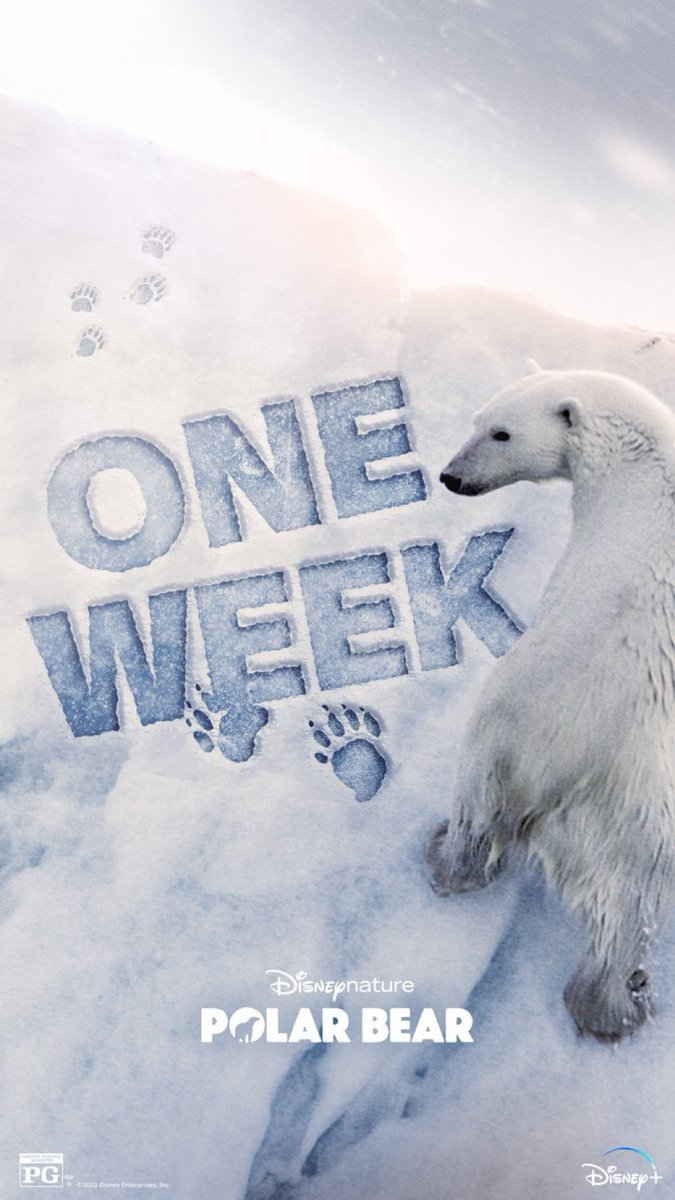 MovieContests's tweet image. One week to go!