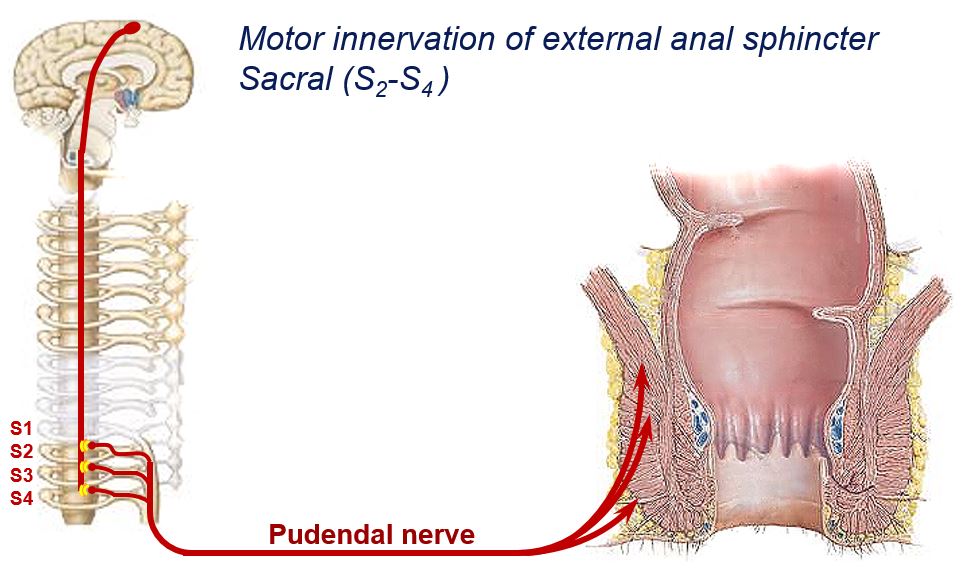 Jeff Conklin MD tweet media