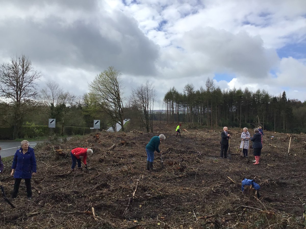 Fermanagh & Omagh District Council (@fermanaghomagh) on Twitter photo 🌟We've been tree planting!
🌳As part of the enhancement works at Ecclesville Forest our Biodiversity Team were joined by the <a href="/ChairFODC/">Chair Fermanagh & Omagh</a>, Cllr Errol Thompson, Cllr Rainey (Ecclesville Forest Working Group) & Members of Fintona WI to plant native trees
#FODC
@WoodlandTrust 🌟We've been tree planting!
🌳As part of the enhancement works at Ecclesville Forest our Biodiversity Team were joined by the <a href="/ChairFODC/">Chair Fermanagh & Omagh</a>, Cllr Errol Thompson, Cllr Rainey (Ecclesville Forest Working Group) & Members of Fintona WI to plant native trees
#FODC
@WoodlandTrust