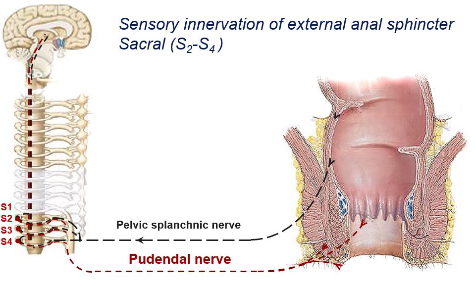 Jeff Conklin MD tweet media