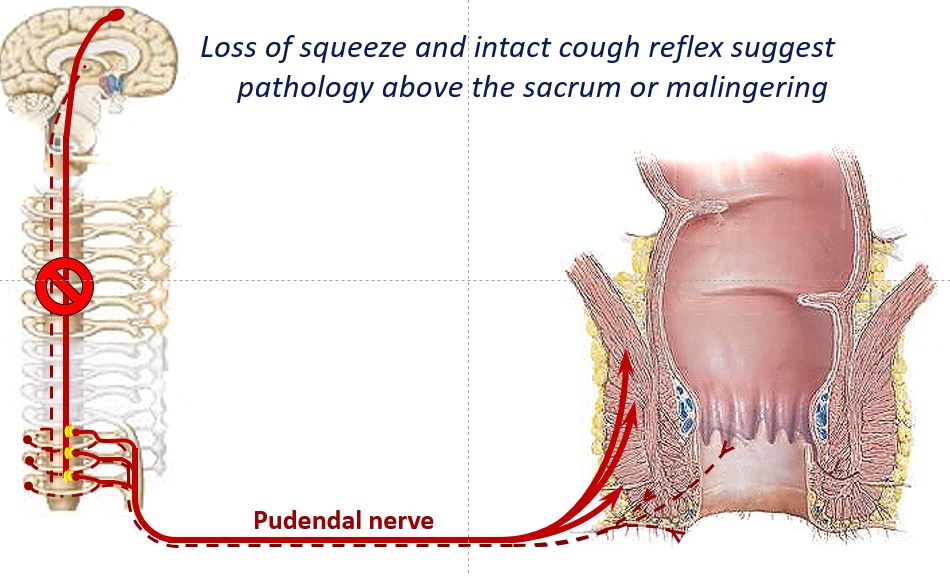 Jeff Conklin MD tweet media