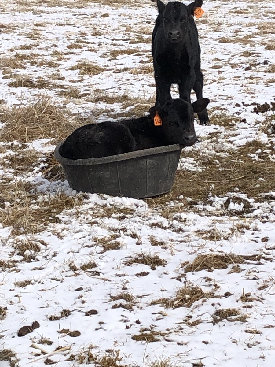 garrett_wolf3's tweet photo. If it fits, I sits https://t.co/WlkwIFKuHm