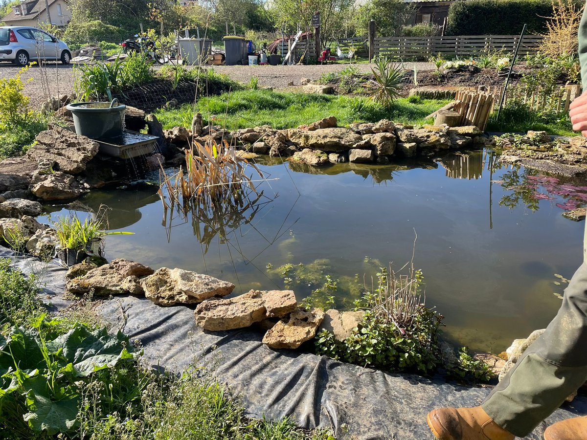 CollegeNBoileau's tweet photo. découvrir l'effet de la #biodiversite à travers une mare pédagogique https://t.co/DRu00Ybg8o