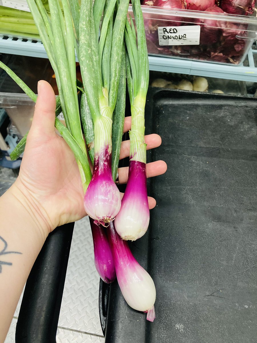 Check out these perfect carrots, green garlic and spring onions from Capay Valley Farms!!!! You know your a foodie when you get excited for produce😂😂