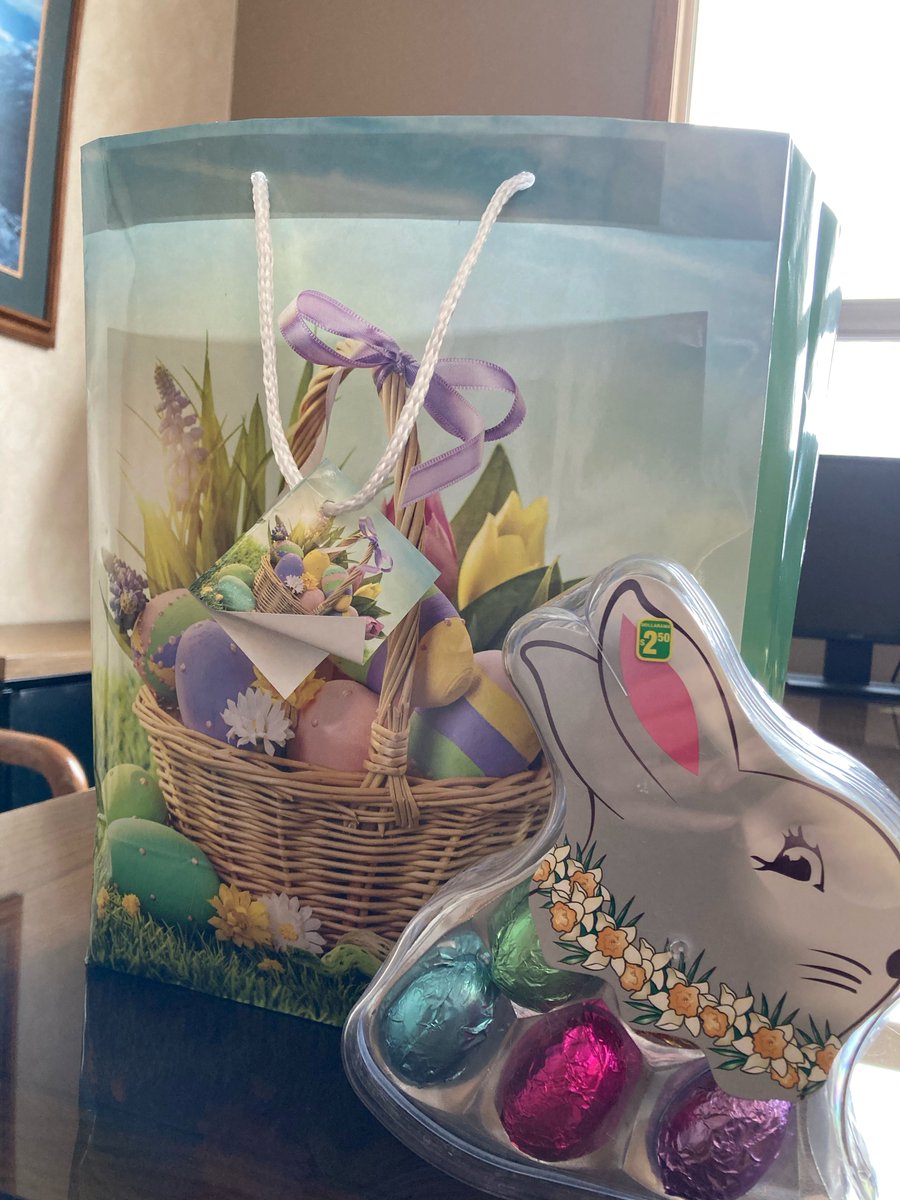 Hoppy Easter Everyone! 🐰Yesterday, we had an Easter Egg hunt in the office to celebrate Good Friday and the long weekend 😃 - can you spot the easter 🥚's in these photos? 
.
.
.
#hoppyheaster #easter #goodfriday #longweekend #insurance #thunderbay #tbay #brokers