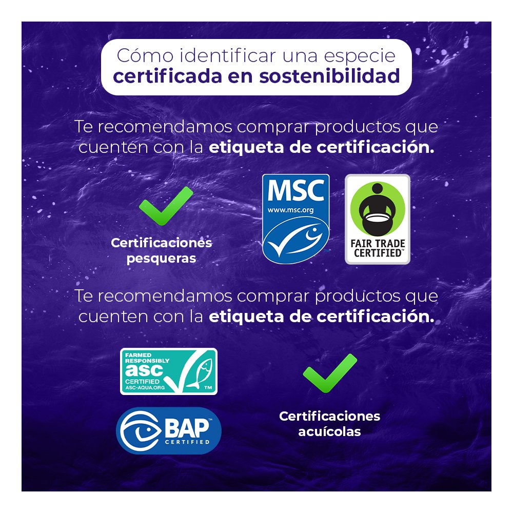 🌎 Para cuidar al medio ambiente y nuestra salud es recomendable comer sostenible y qué mejor que conocer de las certificaciones sostenibles para pescados y mariscos. 🌊 ¡Conócelas aquí! #PescaconFuturo