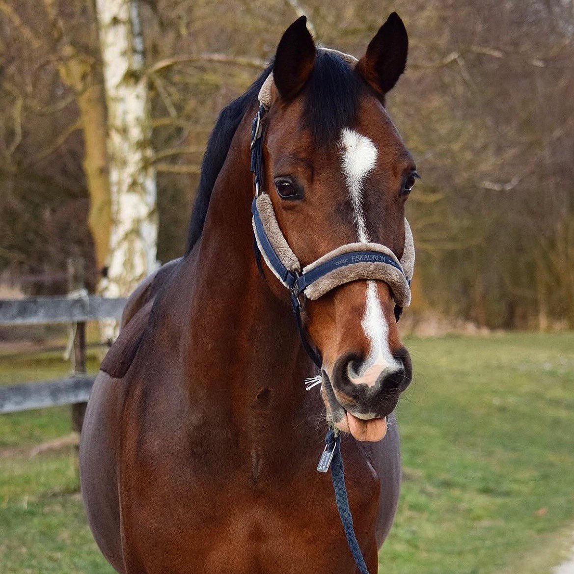 🐥🎉EASTER OFFERS 🎉🐥 We are making your Good Friday a whole lot greater!!! 🎉

FREE Worldwide Delivery🌍
Use Code: EASTER22

10% OFF for UK customers🌟✨
Use Cose: EASTERUK

Happy Shopping 🤩💸 Link in bio!