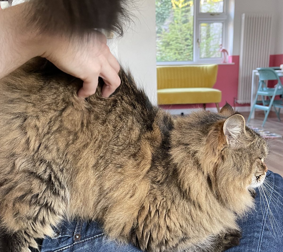 Gwenthebabber's tweet photo. That’s the spot! https://t.co/tsbFvIVD6D