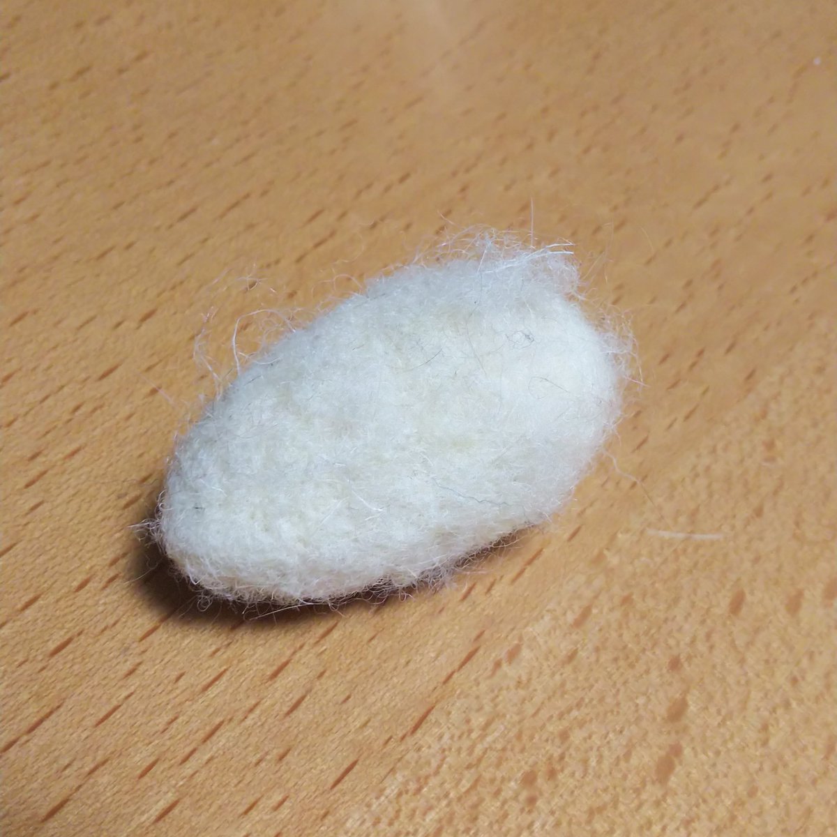 Mady_shin's tweet photo. 作ろうと思ってたのを気付いたら猫に持ってかれてた
ただでさえ模索中だったのに心折れた
見つかっただけマシと考えるべきか…
#羊毛フェルト https://t.co/aX8da3hzrk