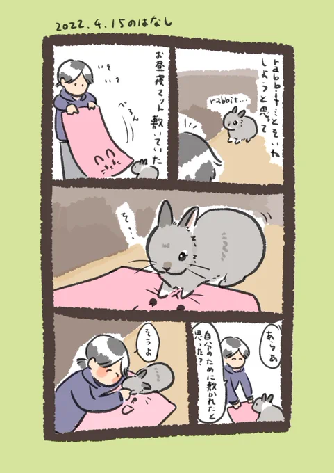 今日のrabbit…
#うさぎのいる生活 