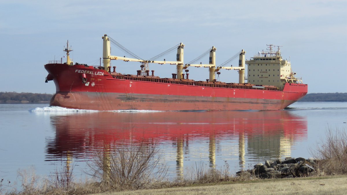 SeawayNNY's tweet photo. FEDERAL LEDA 🇲🇭 up the sunny St. Lawrence River at Wilson Hill #Fednav 🗓️ 09-Apr-2022 https://t.co/X8iDvsIC9a