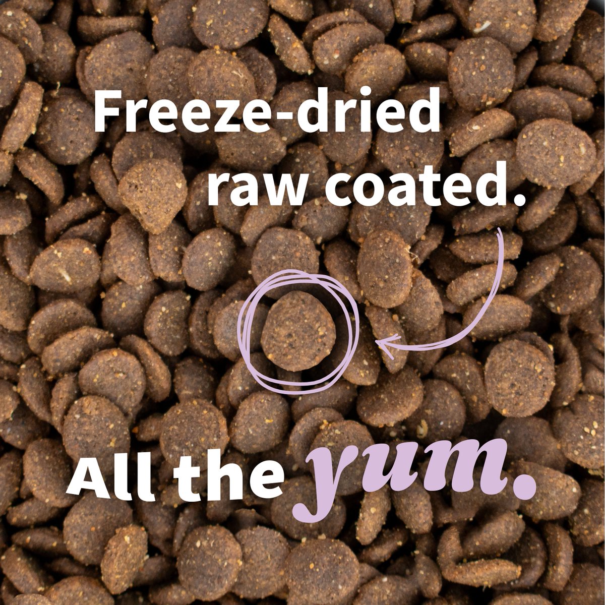 Cue the drool 😋 New Halo Elevate is freeze-dried raw coated for a taste your favorite kid is gonna love (like every day, for the rest of forever). Find it at Petco, Pet Supplies Plus and select neighborhood pet stores 🐾