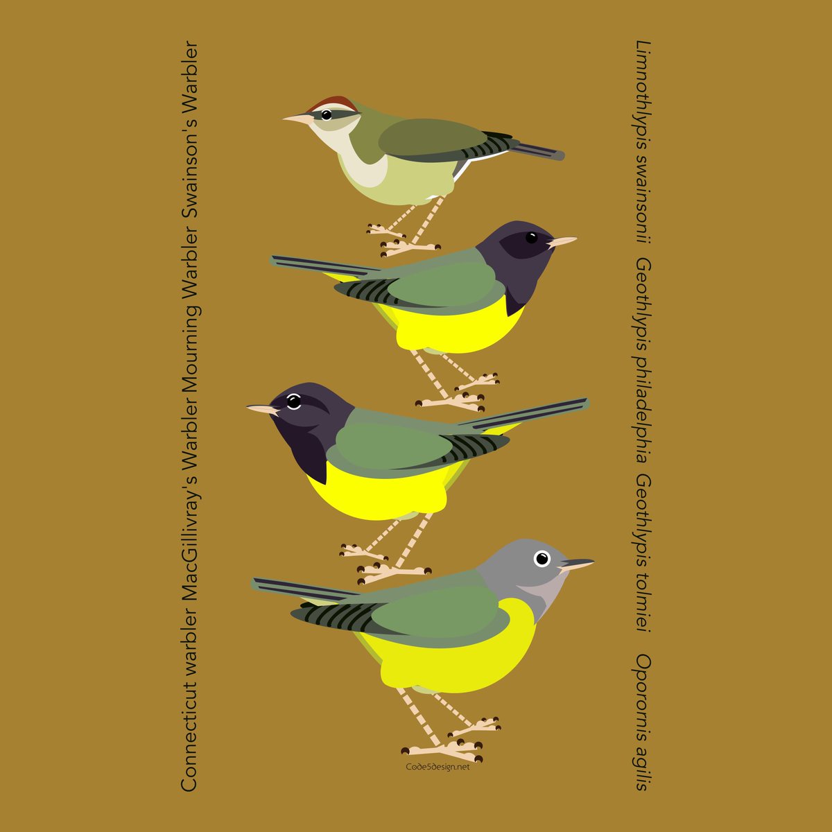 Fly several thousand miles, and immediately drop into thick vegetation until fall…. Go see your skulking warblers now!